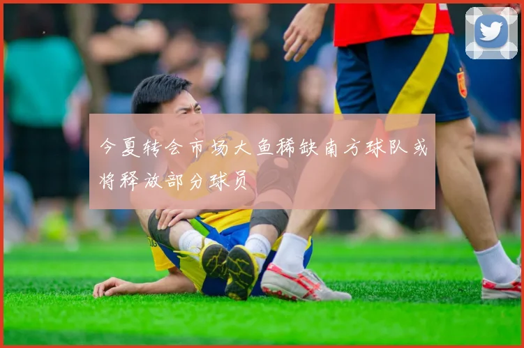 今夏转会市场大鱼稀缺南方球队或将释放部分球员